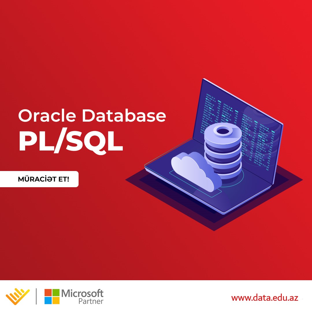 Oracle Database PL SQL