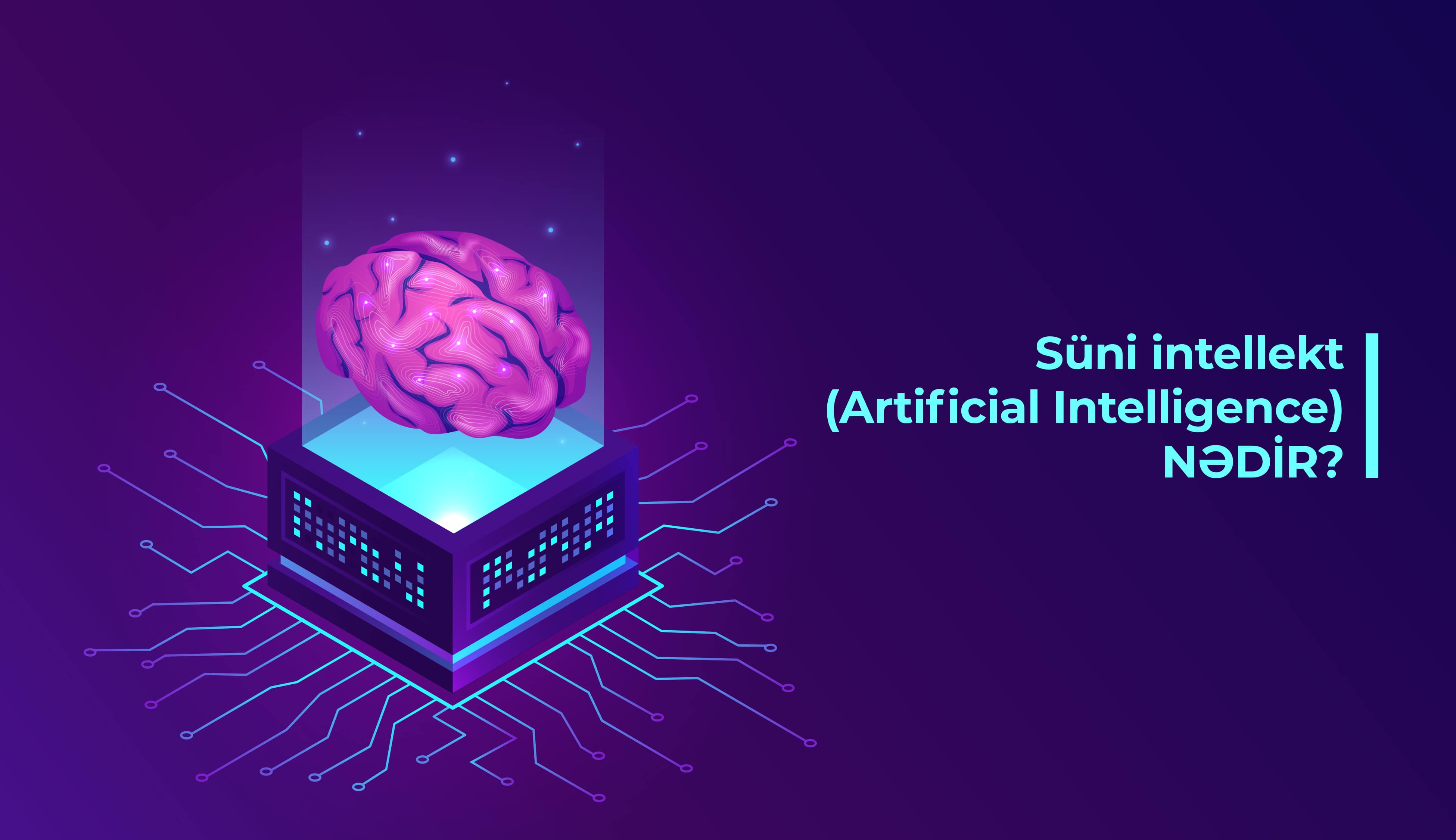 S ni Intellekt Artificial Intelligence N dir Data Analitikas 
